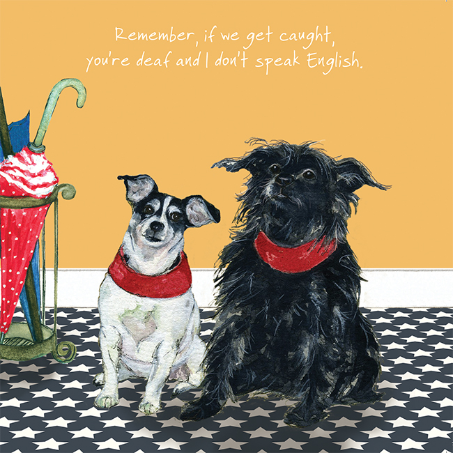 The Little Dog Laughed | Greeting Card Association